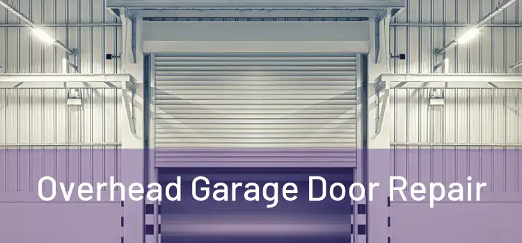 Overhead Garage Door Repair